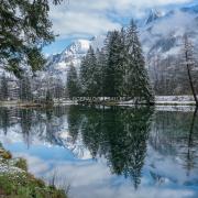 Lac des Gaillands - AL704019