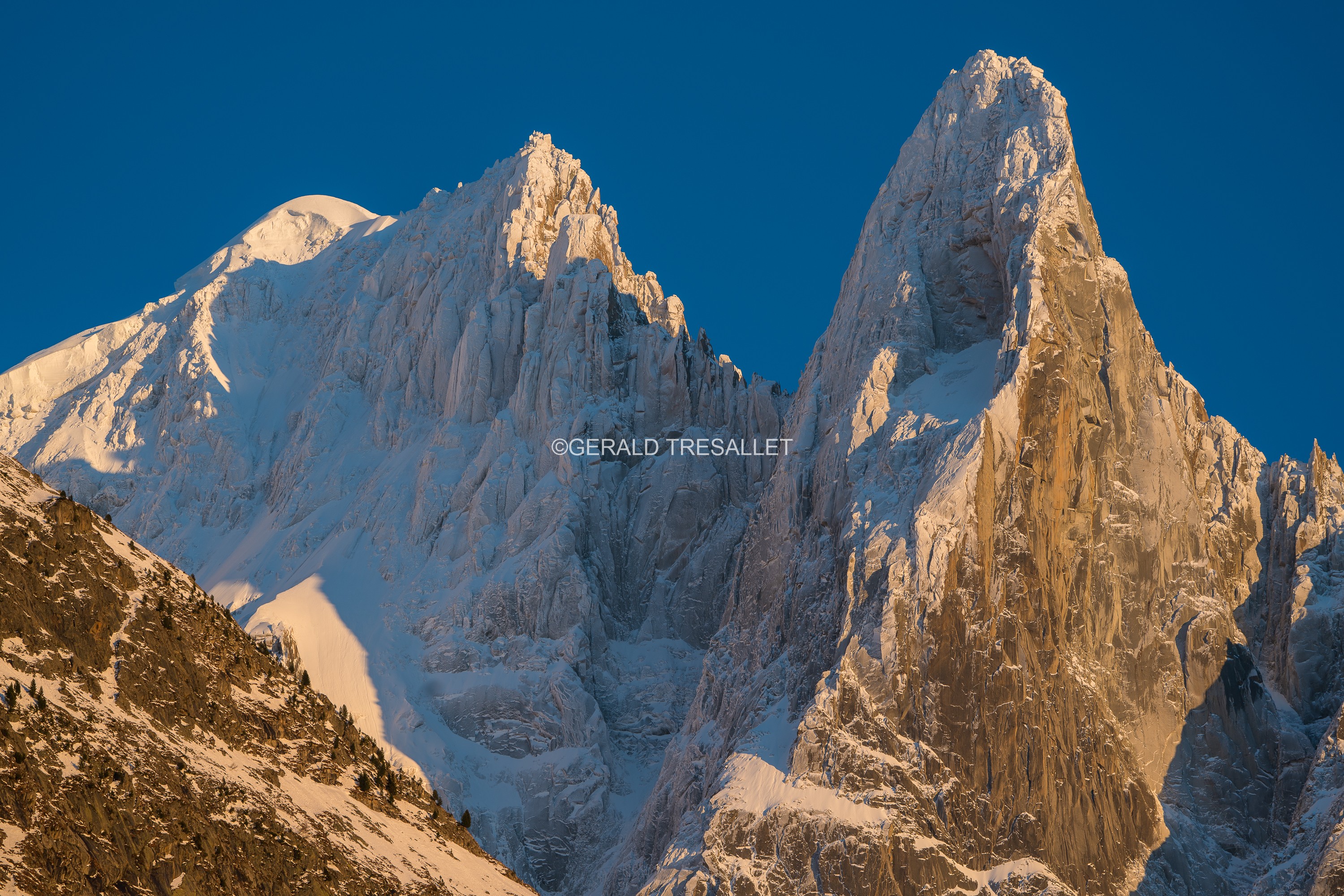 Aiguille Verte - Al74625