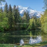 Lac des Gaillands-Al75229