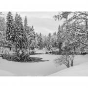 Lac des Gaillands en Hiver-Dsc08630