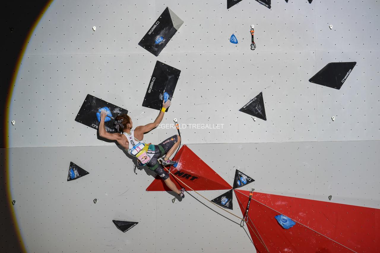 Coupe du monde d'escalade de Chamonix-nik3008