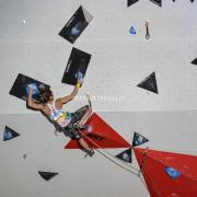 Coupe du monde d'escalade de Chamonix-nik3008