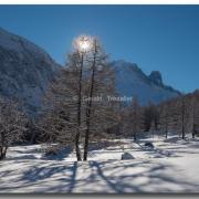 Paysage d'hiver-nik0093