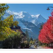 Chamonix et le Mont-Blanc-nik4607