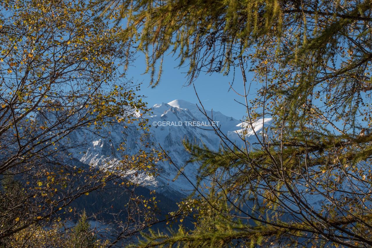 Le Mont-Blanc-nik5123