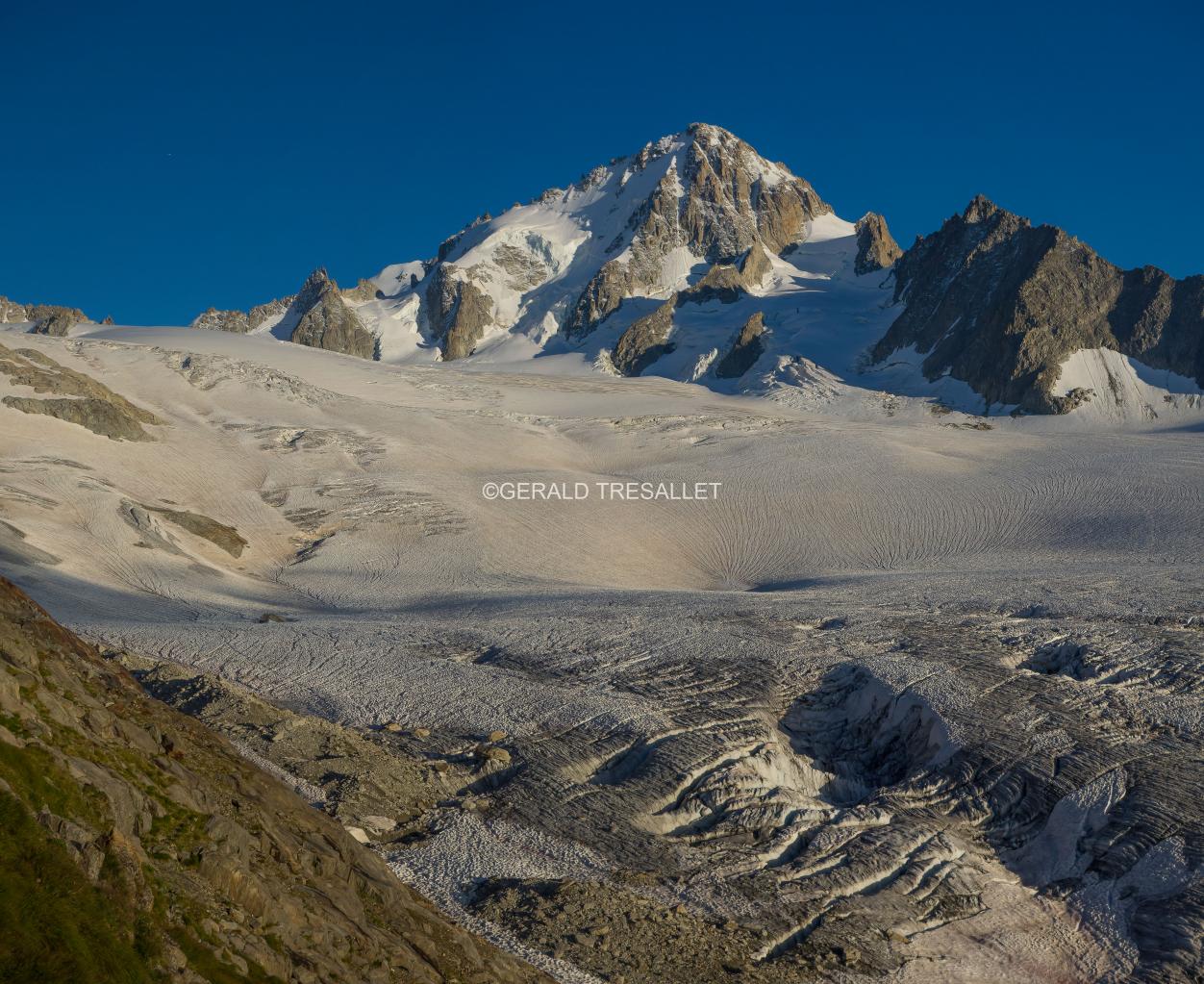 Pano Chardonnet