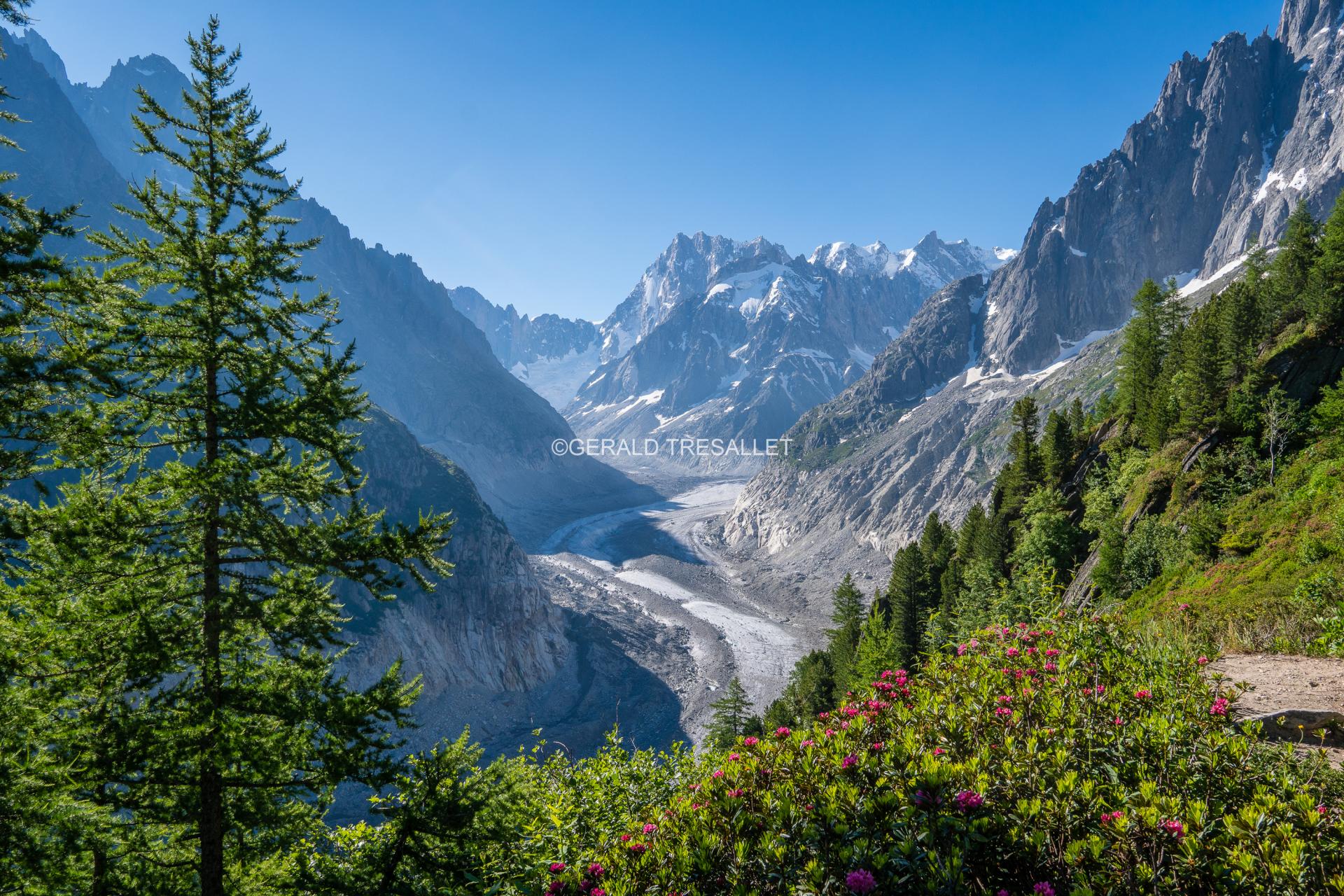 Mer de Glace-SON02412